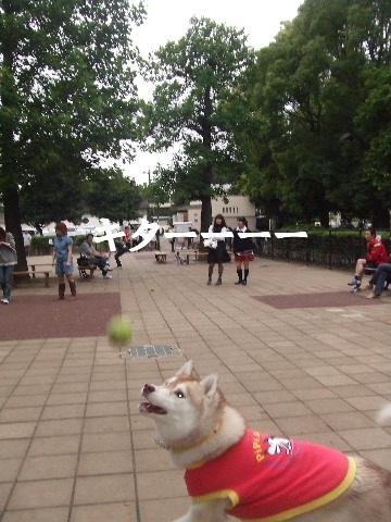 e0121548_21395342.jpg