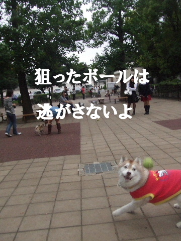 e0121548_21401894.jpg