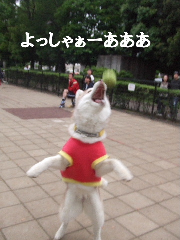 e0121548_2140375.jpg