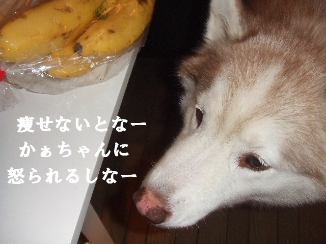 e0121548_21514927.jpg