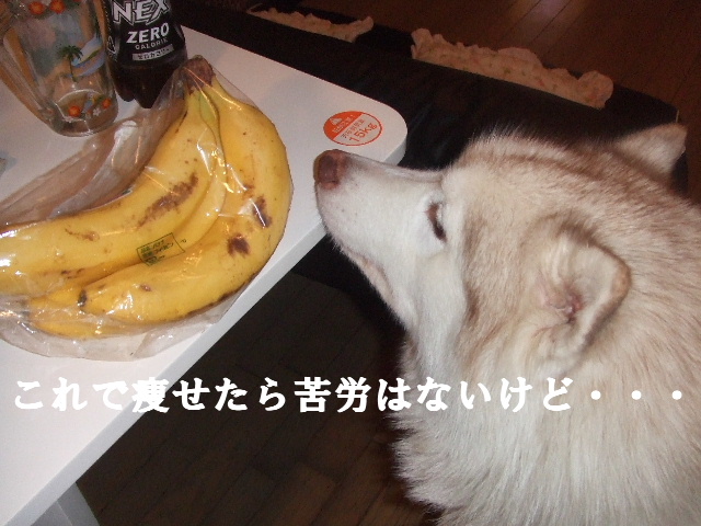 e0121548_21575738.jpg