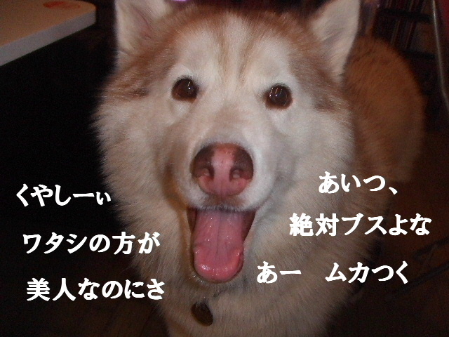 e0121548_22164131.jpg