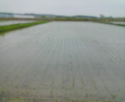 b0049549_13394293.jpg