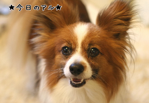 d0013149_13213162.jpg