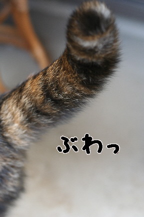 d0013149_15105142.jpg