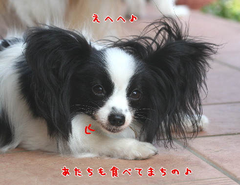 d0013149_1520351.jpg