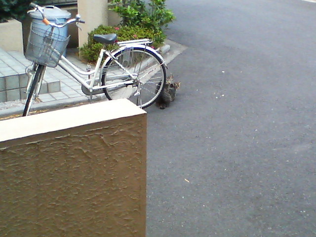 d0124952_15323912.jpg