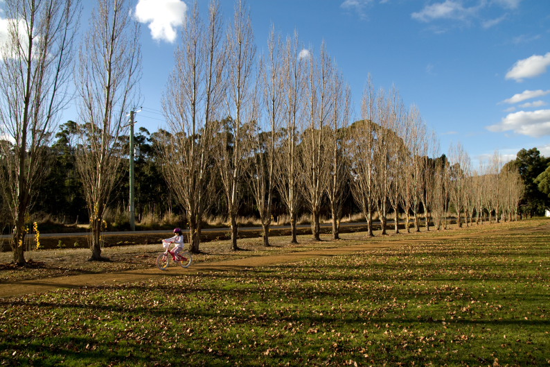 f0137354_9545114.jpg