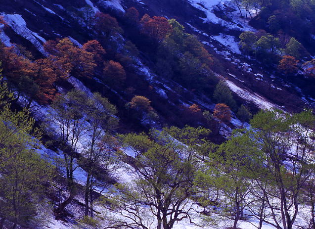 b0083855_164326.jpg