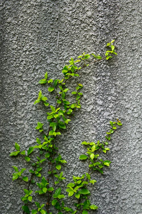 d0100156_0284273.jpg