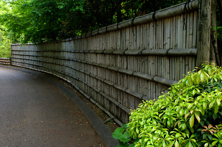 d0100156_0314923.jpg