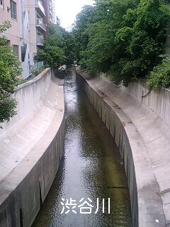 e0045856_2352422.jpg