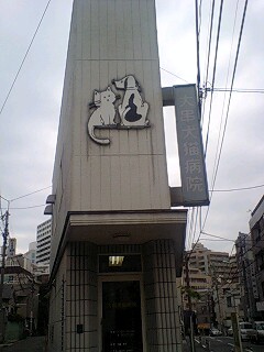 e0045856_23542512.jpg