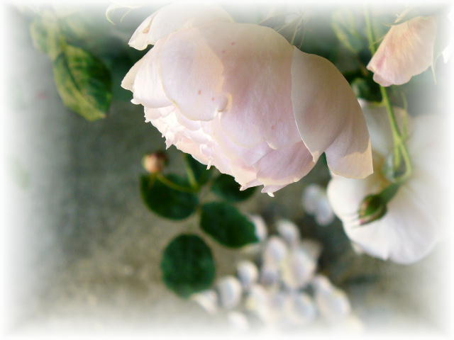 f0074659_2131762.jpg