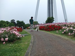 a0104162_19335849.jpg