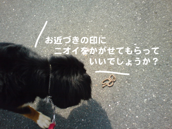 e0124868_20525999.jpg
