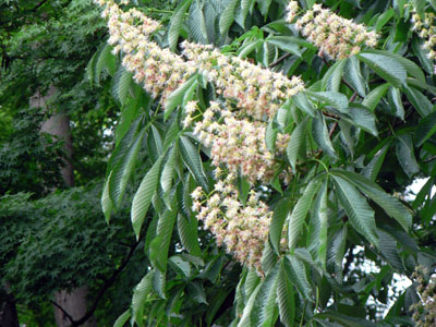 f0086169_1938863.jpg