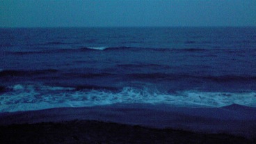 d0045171_784953.jpg