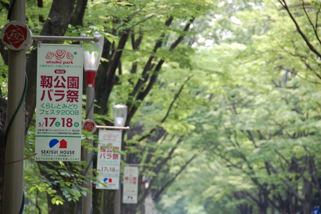 f0175475_2157571.jpg