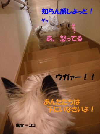 e0066883_20373890.gif
