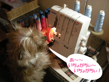 e0066883_20442470.gif