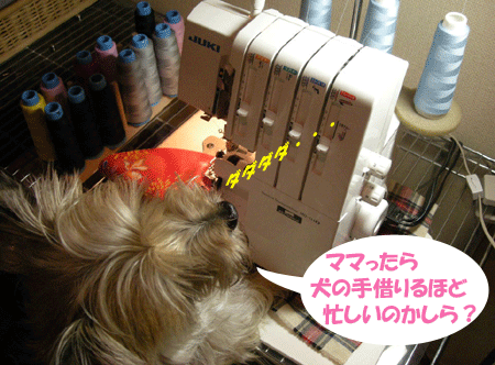 e0066883_20444416.gif