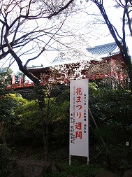c0105785_850387.jpg
