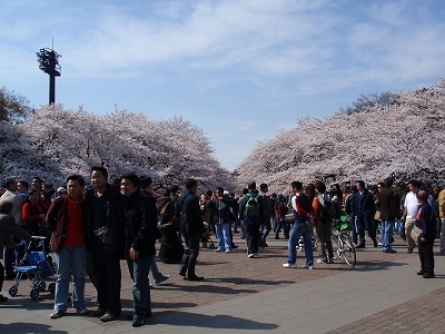 c0105785_96179.jpg