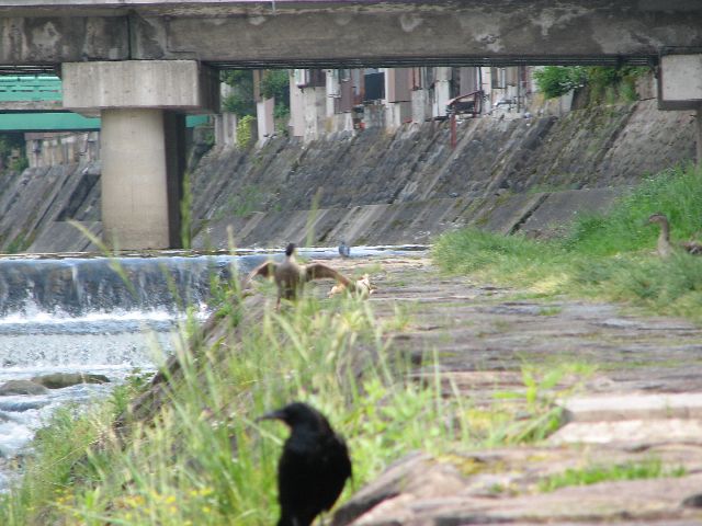 c0036792_2039325.jpg