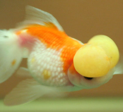 e0133898_0142121.jpg