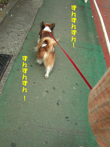 c0044199_17574651.jpg