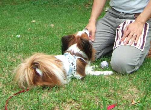 c0044199_1815748.jpg