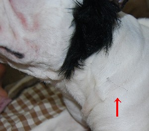 c0083999_14265630.jpg