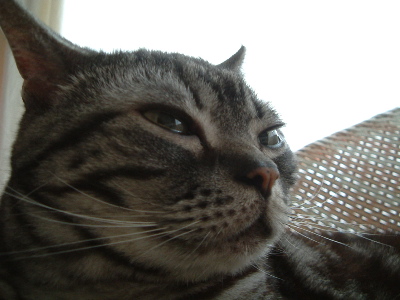 a0079803_12422.jpg