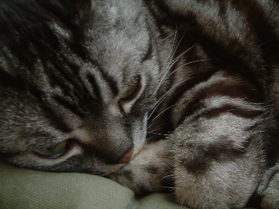 a0079803_143689.jpg