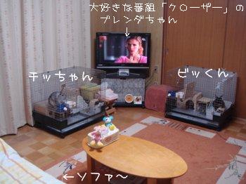 b0081503_21344426.jpg