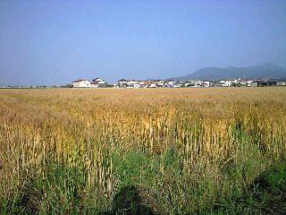 f0092906_20354372.jpg