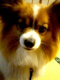 d0077607_131041.jpg