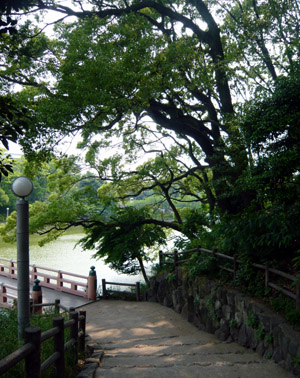 c0008209_15513294.jpg