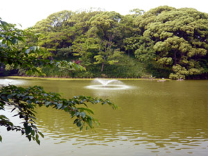 c0008209_15523131.jpg