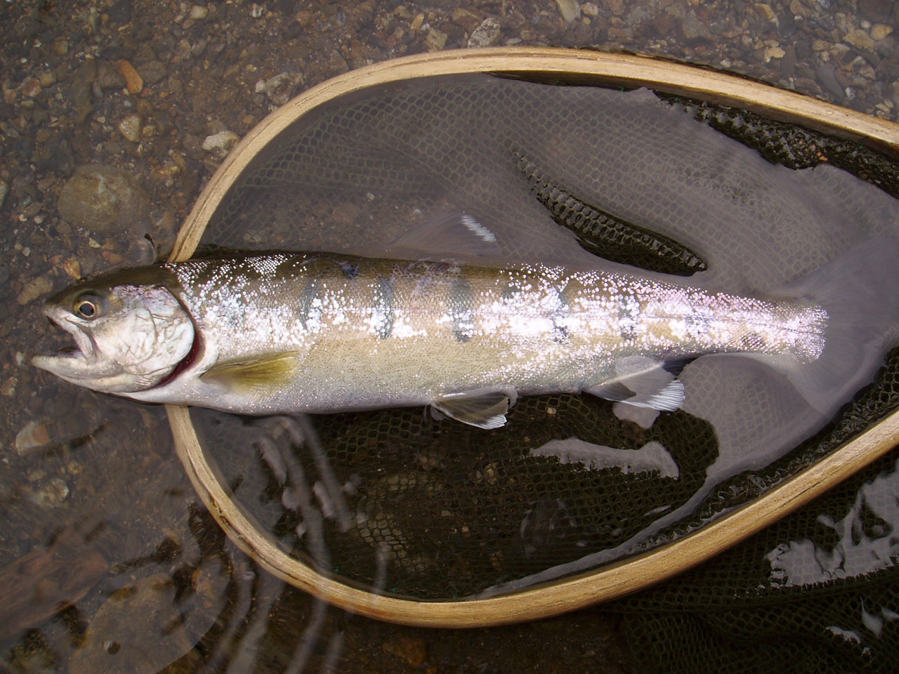 f0137709_2239465.jpg