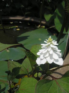 f0008510_23271563.jpg
