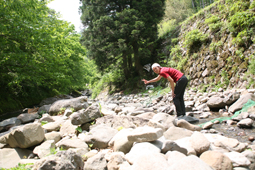 e0139312_1214099.jpg