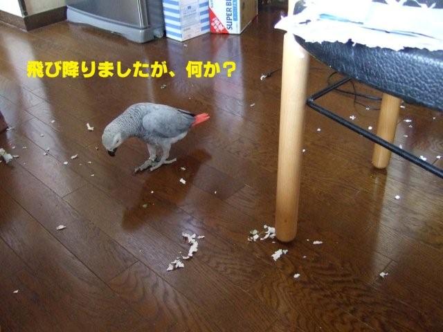 c0133013_15413246.jpg
