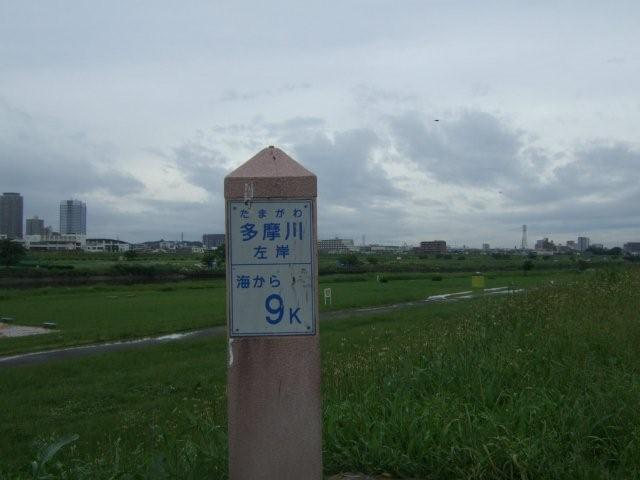 c0133013_16235548.jpg