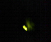 f0041113_20313087.jpg