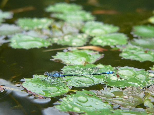 e0002314_17132947.jpg