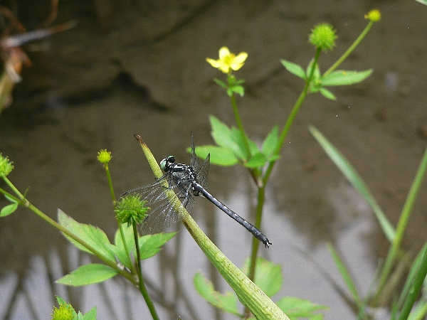 e0002314_17163779.jpg