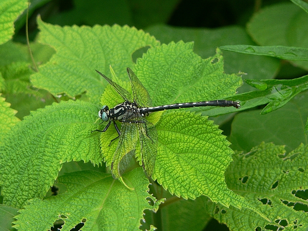 e0002314_17165940.jpg