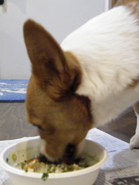 c0127617_18331342.jpg